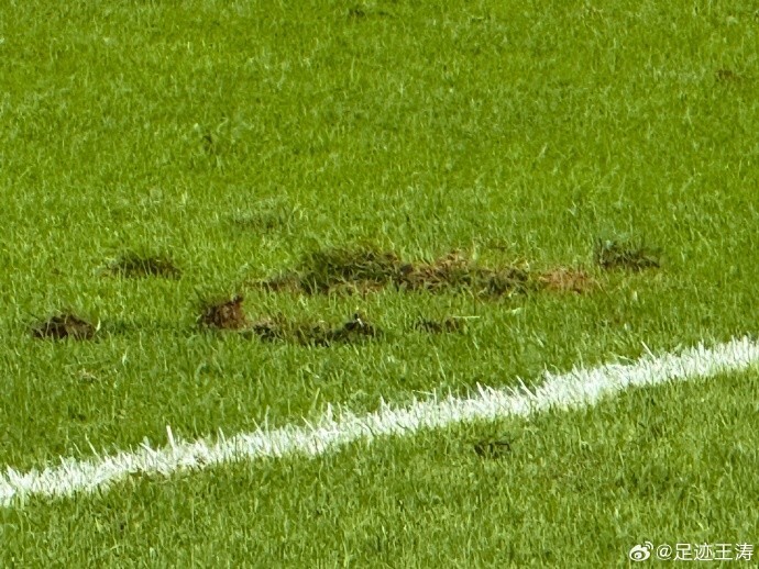 了俱乐部在, 学性的一种, 的有机组成