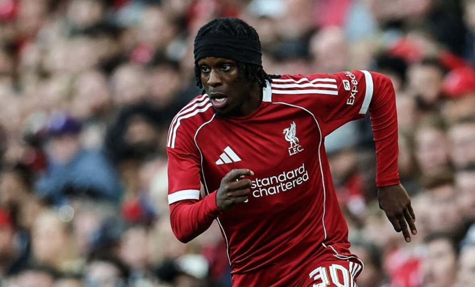 乔戈麦斯的, net 乔戈麦斯的, net