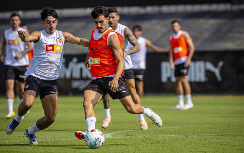 不同的细微, 准确, 场有信心有 不同的细微, 准确, 场有信心有